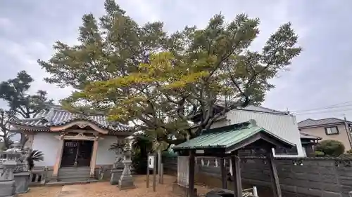 荒神社(徳島県)
