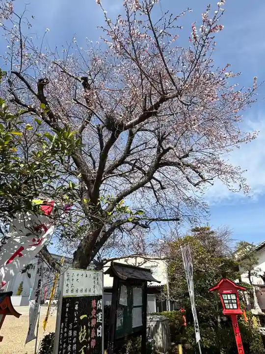 尾張猿田彦神社(愛知県)