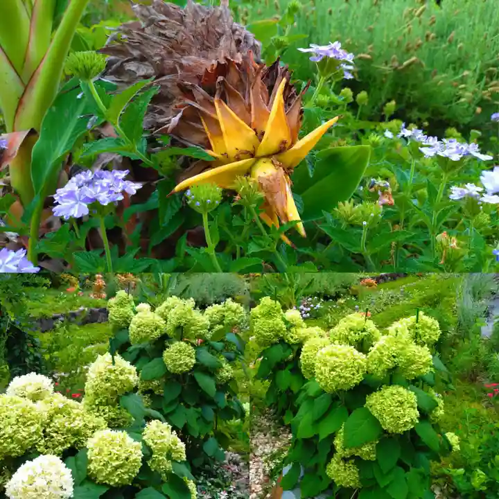 寿量山 速成寺(奈良県)