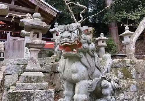 柳生八坂神社の狛犬