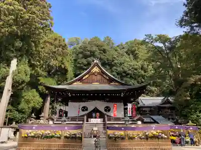 日牟禮八幡宮の本殿・本堂