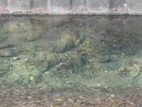 伊野天照皇大神宮のその他建物