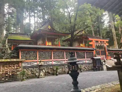 金剛峰寺大伽藍金堂(和歌山県)