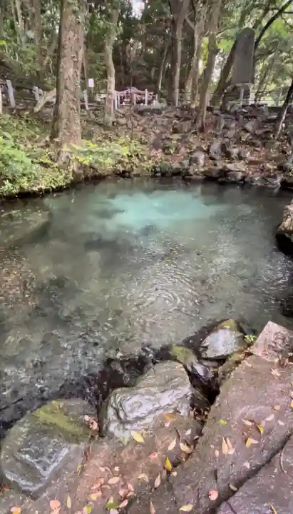 泉神社(茨城県)