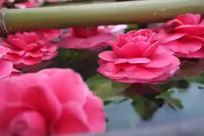 慈恩寺の手水舎