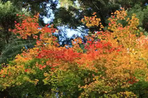 鹿島大神宮の庭園