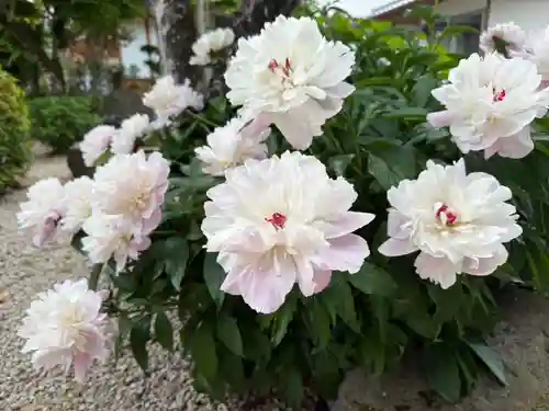 美奈宜神社(福岡県)