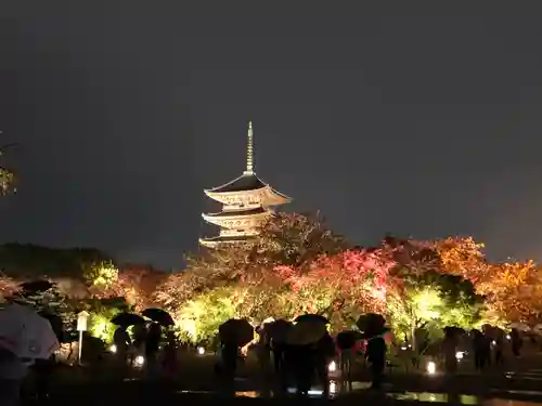 東寺（教王護国寺）(京都府)