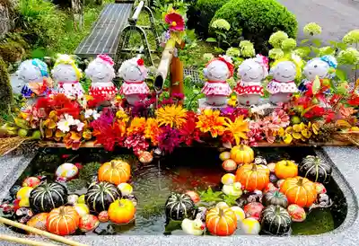 陽林寺の手水舎