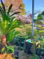 瑞興寺(大阪府)