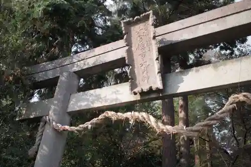 大宮住吉神社の鳥居