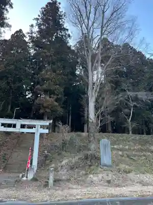 大宮温泉神社(栃木県)