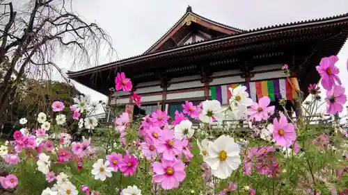 西新井大師総持寺の庭園