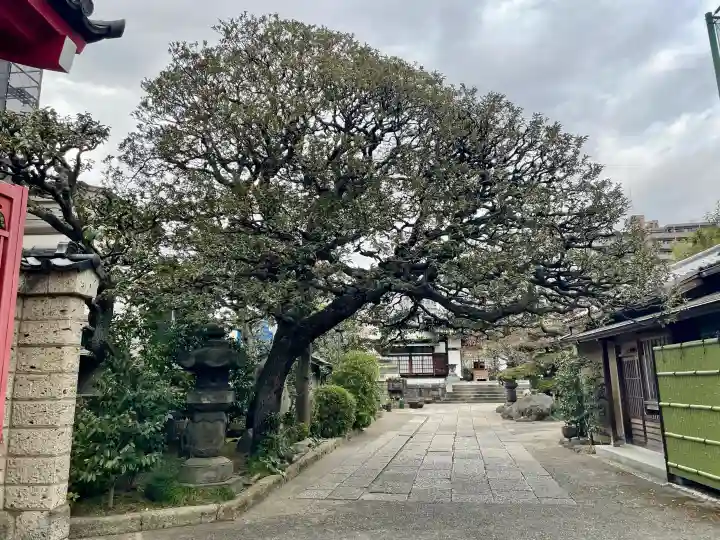 大円寺の{uncategorized: "未分類", other: "その他", undefined: "問題あり", building: "その他建物", grave: "お墓", sacred_gate: "鳥居", guardian: "狛犬", statue: "像", buddha: "仏像", history: "歴史", nature: "自然", garden: "庭園", animal: "動物", pagoda: "塔", temizu: "手水舎", mountain_gate: "山門・神門", sanctuary: "本殿・本堂", subordinate: "末社・摂社", art: "芸術", scenery: "景色", jizo: "地蔵", ema: "絵馬", goshuin: "御朱印", omikuji: "おみくじ", items: "授与品その他", amulet: "お守り", goshuincho: "御朱印帳", eats: "食事", festival: "お祭り", votive_dance: "神楽", shichigosan: "七五三参", wedding: "結婚式", experience: "体験その他", initially: "初詣", around: "周辺", anti_infection: "感染症対策"}