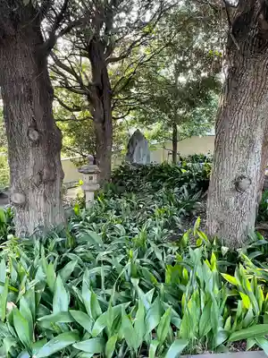 長仙寺(東京都)