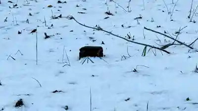 百満神社(北海道)