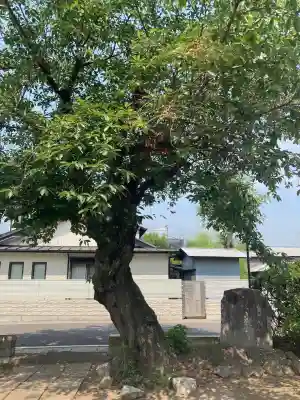 香取神社(埼玉県)
