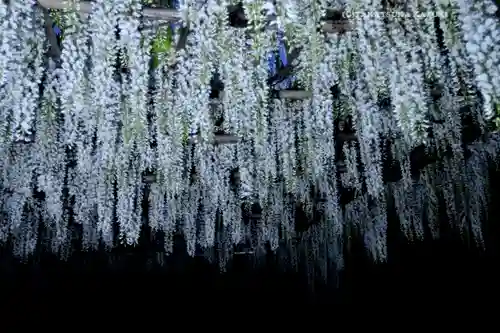 白旗神社(神奈川県)