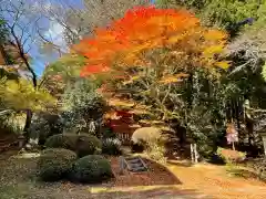 堂山王子神社の庭園