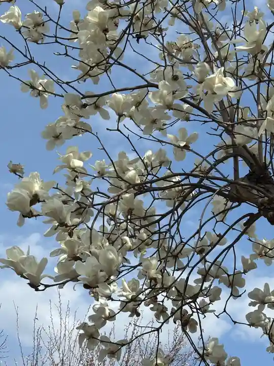 松源寺(群馬県)