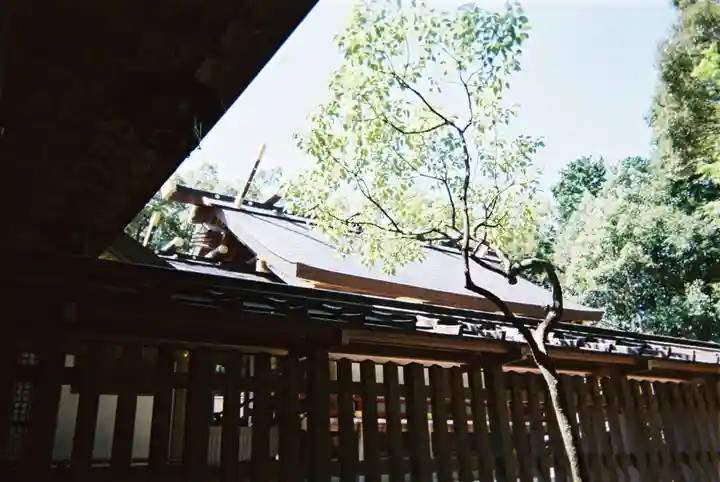 猿田彦神社の本殿・本堂