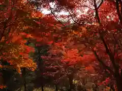 足利織姫神社の自然