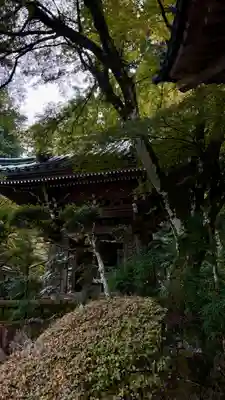 最乗寺（道了尊）(神奈川県)
