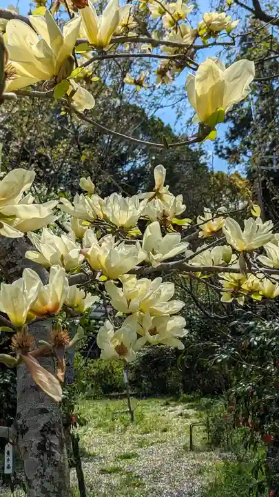 惠心院(京都府)