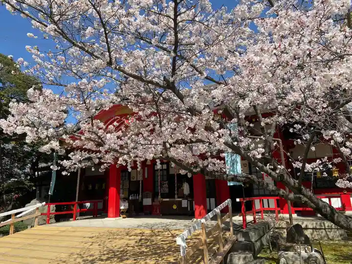 市原稲荷神社の自然