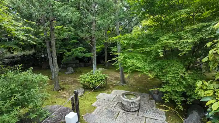 勝林寺(京都府)