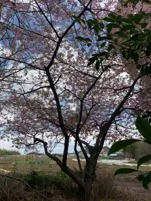 葦不合神社(千葉県)