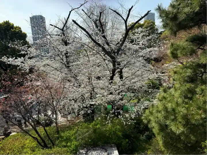 清水観音堂(東京都)