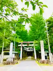 金村別雷神社の鳥居