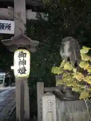 安井金比羅宮の狛犬