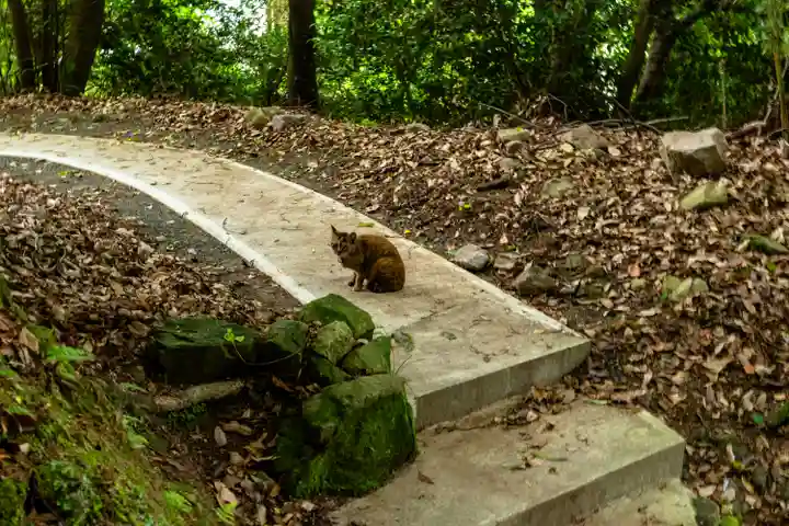 新田神社(鹿児島県)