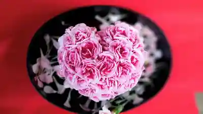 阿邪訶根神社の手水舎