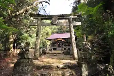天神社(愛媛県)
