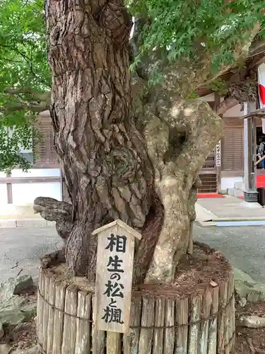 金華山黄金山神社の自然