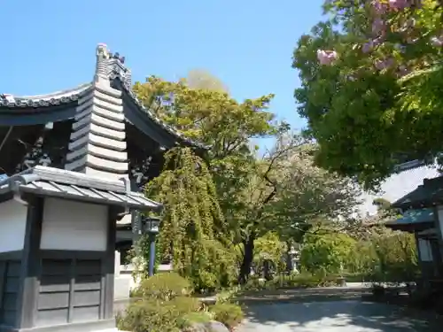 常立寺の庭園