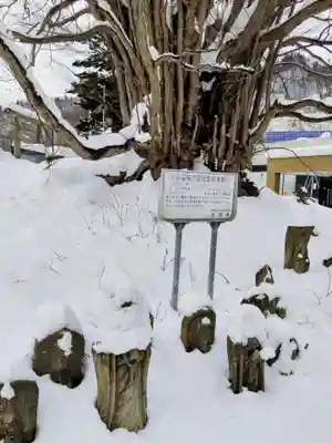 黄金龍神社（桂不動）(北海道)