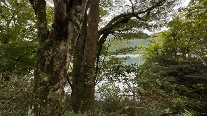 九頭龍神社本宮(神奈川県)