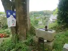 猿田彦神社の手水