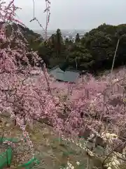 大縣神社の庭園