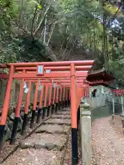 狸谷山不動院の鳥居