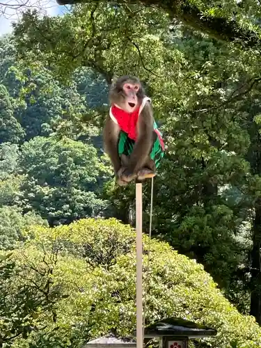 太宰府天満宮の{uncategorized: "未分類", other: "その他", undefined: "問題あり", building: "その他建物", grave: "お墓", sacred_gate: "鳥居", guardian: "狛犬", statue: "像", buddha: "仏像", history: "歴史", nature: "自然", garden: "庭園", animal: "動物", pagoda: "塔", temizu: "手水舎", mountain_gate: "山門・神門", sanctuary: "本殿・本堂", subordinate: "末社・摂社", art: "芸術", scenery: "景色", jizo: "地蔵", ema: "絵馬", goshuin: "御朱印", omikuji: "おみくじ", items: "授与品その他", amulet: "お守り", goshuincho: "御朱印帳", eats: "食事", festival: "お祭り", votive_dance: "神楽", shichigosan: "七五三参", wedding: "結婚式", experience: "体験その他", initially: "初詣", around: "周辺", anti_infection: "感染症対策"}