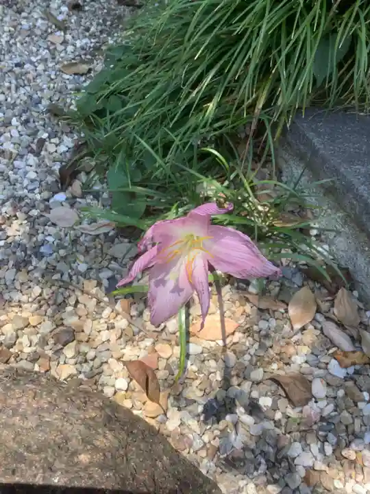 三輪神社の自然