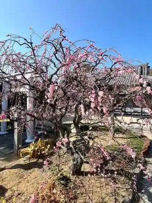 比佐豆知神社の{uncategorized: "未分類", other: "その他", undefined: "問題あり", building: "その他建物", grave: "お墓", sacred_gate: "鳥居", guardian: "狛犬", statue: "像", buddha: "仏像", history: "歴史", nature: "自然", garden: "庭園", animal: "動物", pagoda: "塔", temizu: "手水舎", mountain_gate: "山門・神門", sanctuary: "本殿・本堂", subordinate: "末社・摂社", art: "芸術", scenery: "景色", jizo: "地蔵", ema: "絵馬", goshuin: "御朱印", omikuji: "おみくじ", items: "授与品その他", amulet: "お守り", goshuincho: "御朱印帳", eats: "食事", festival: "お祭り", votive_dance: "神楽", shichigosan: "七五三参", wedding: "結婚式", experience: "体験その他", initially: "初詣", around: "周辺", anti_infection: "感染症対策"}