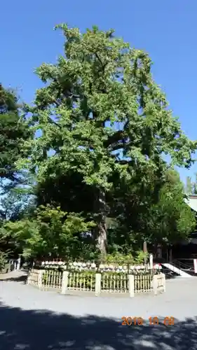 七社神社の自然