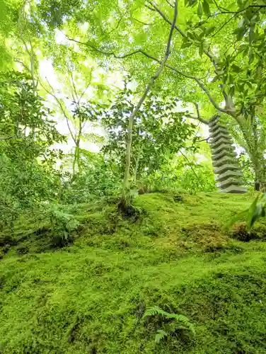 光明寺瑠璃光院(京都府)