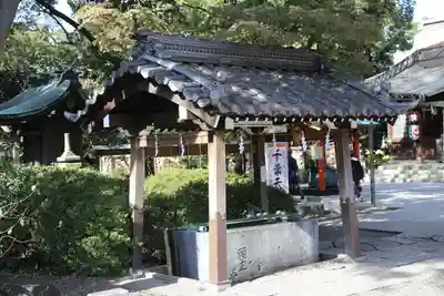 千葉神社の手水舎